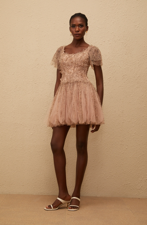 Kaitlyn Brown Mini Dress